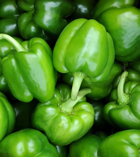 Capsicum