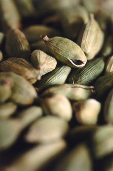 Cardamom