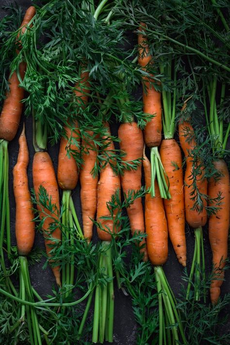 Carrot