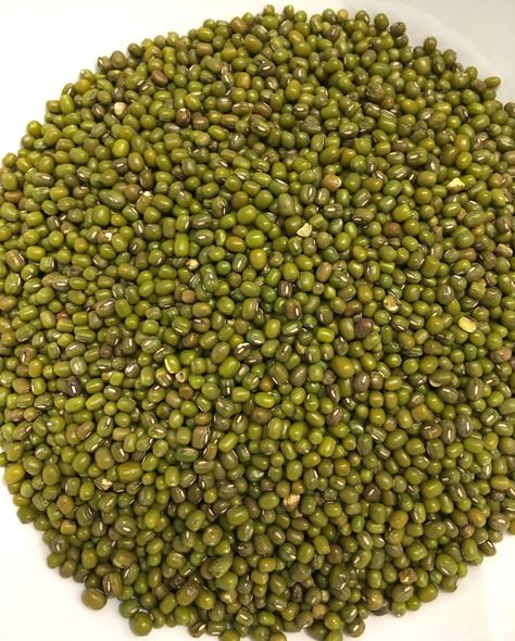 Green Mung