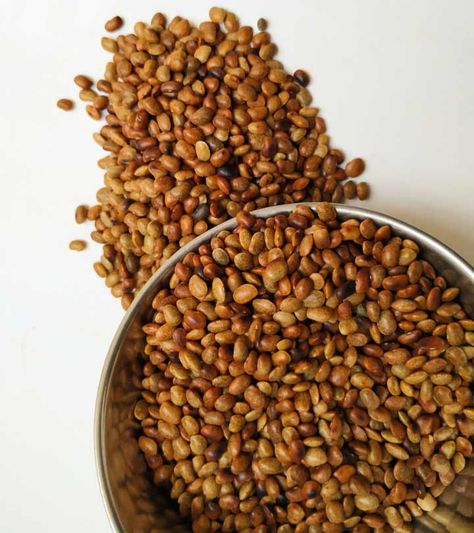 Horse Gram